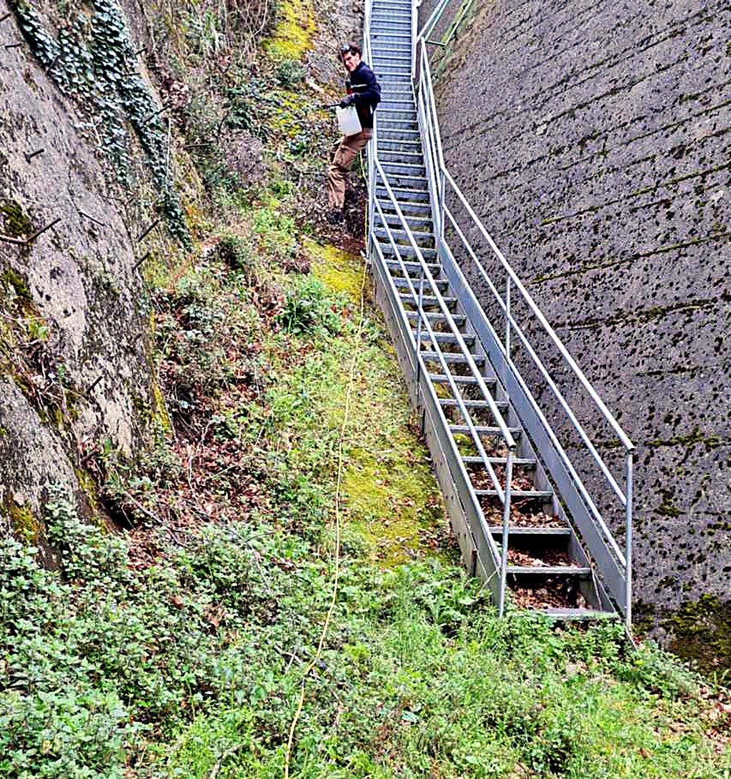 A steel ladder running down the face of the dam, with a technician on it